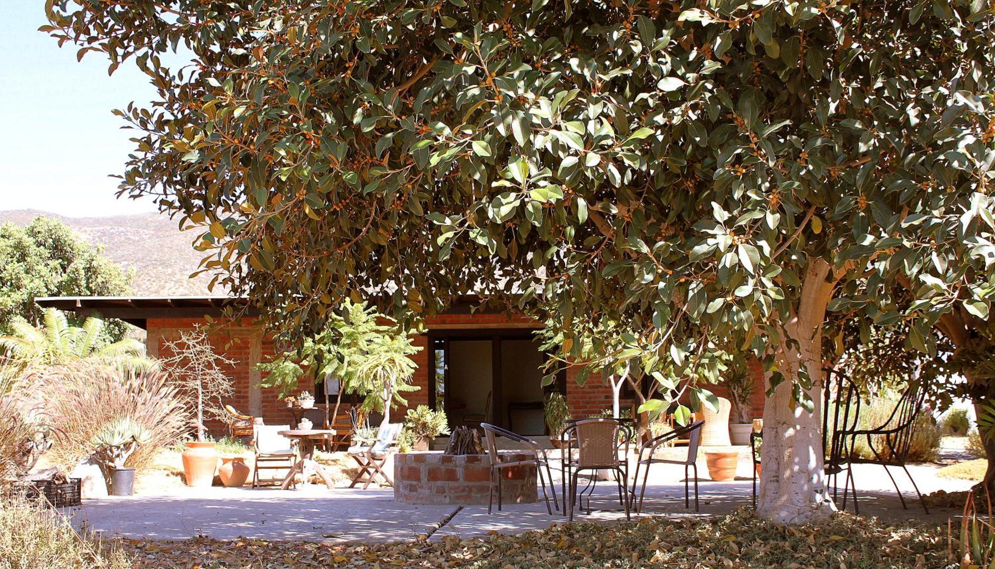 Las Orquideas Valle de Guadalupe Extérieur photo