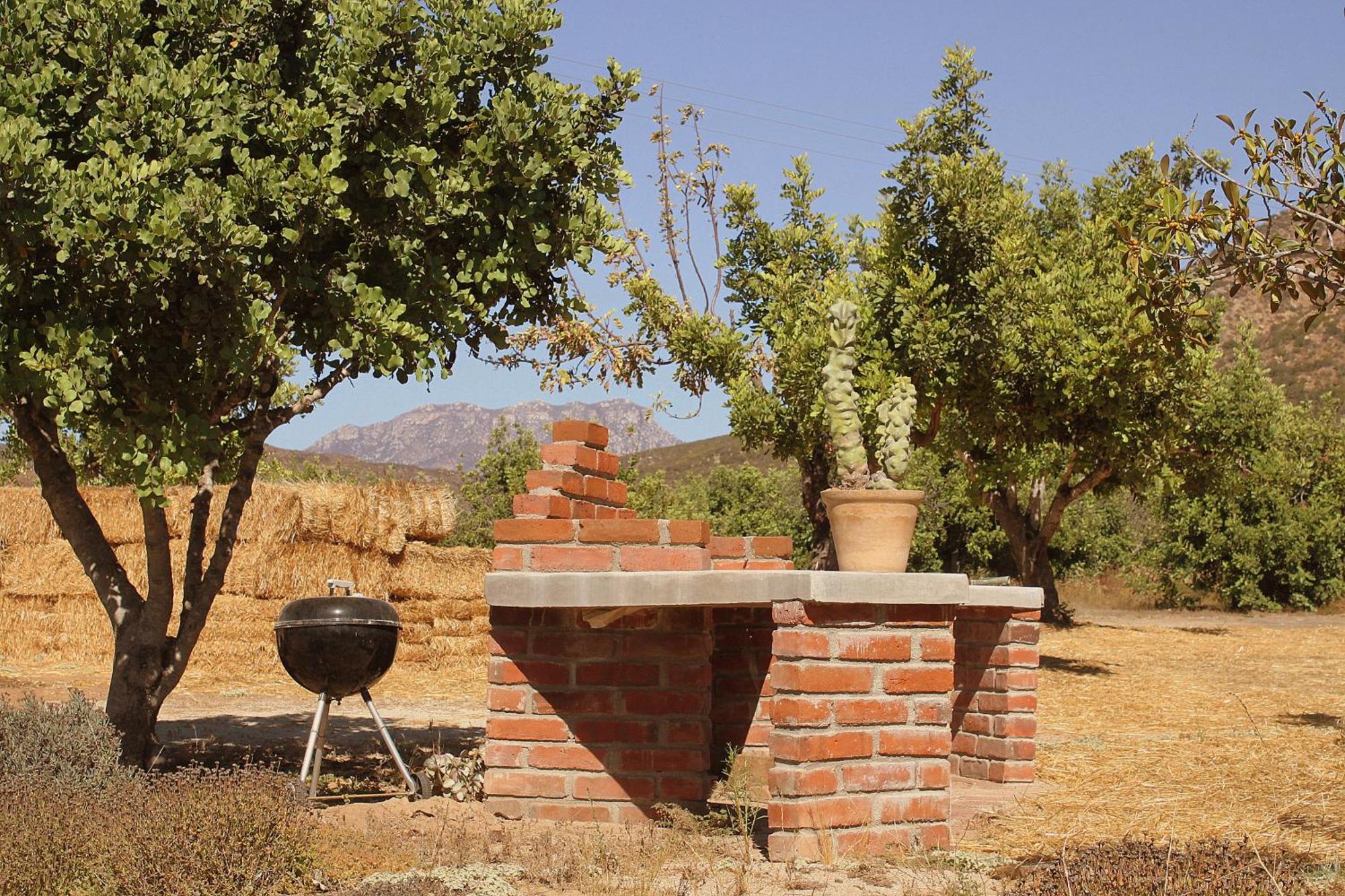Las Orquideas Valle de Guadalupe Extérieur photo