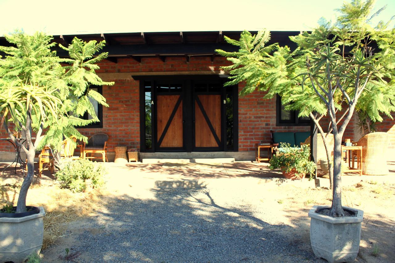 Las Orquideas Valle de Guadalupe Extérieur photo