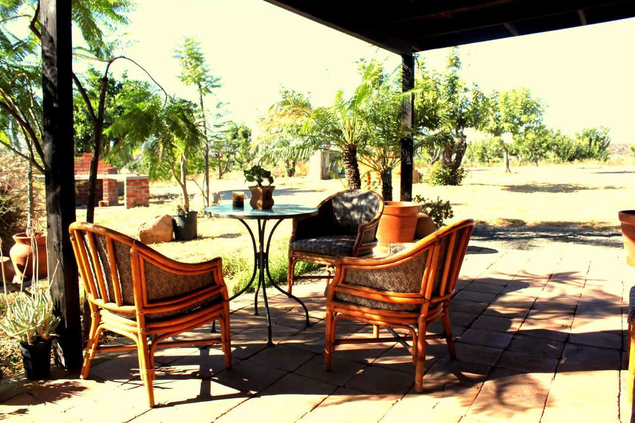 Las Orquideas Valle de Guadalupe Extérieur photo