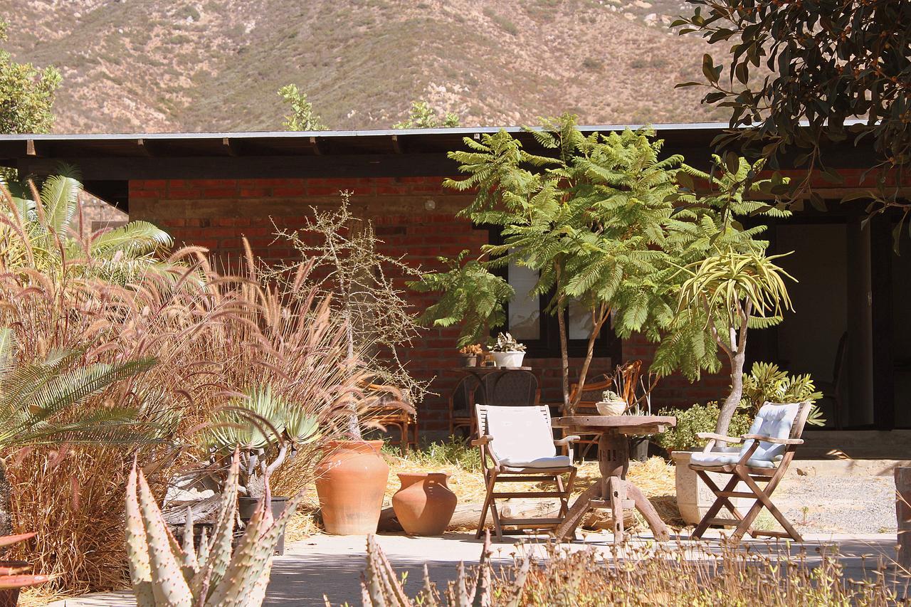 Las Orquideas Valle de Guadalupe Extérieur photo