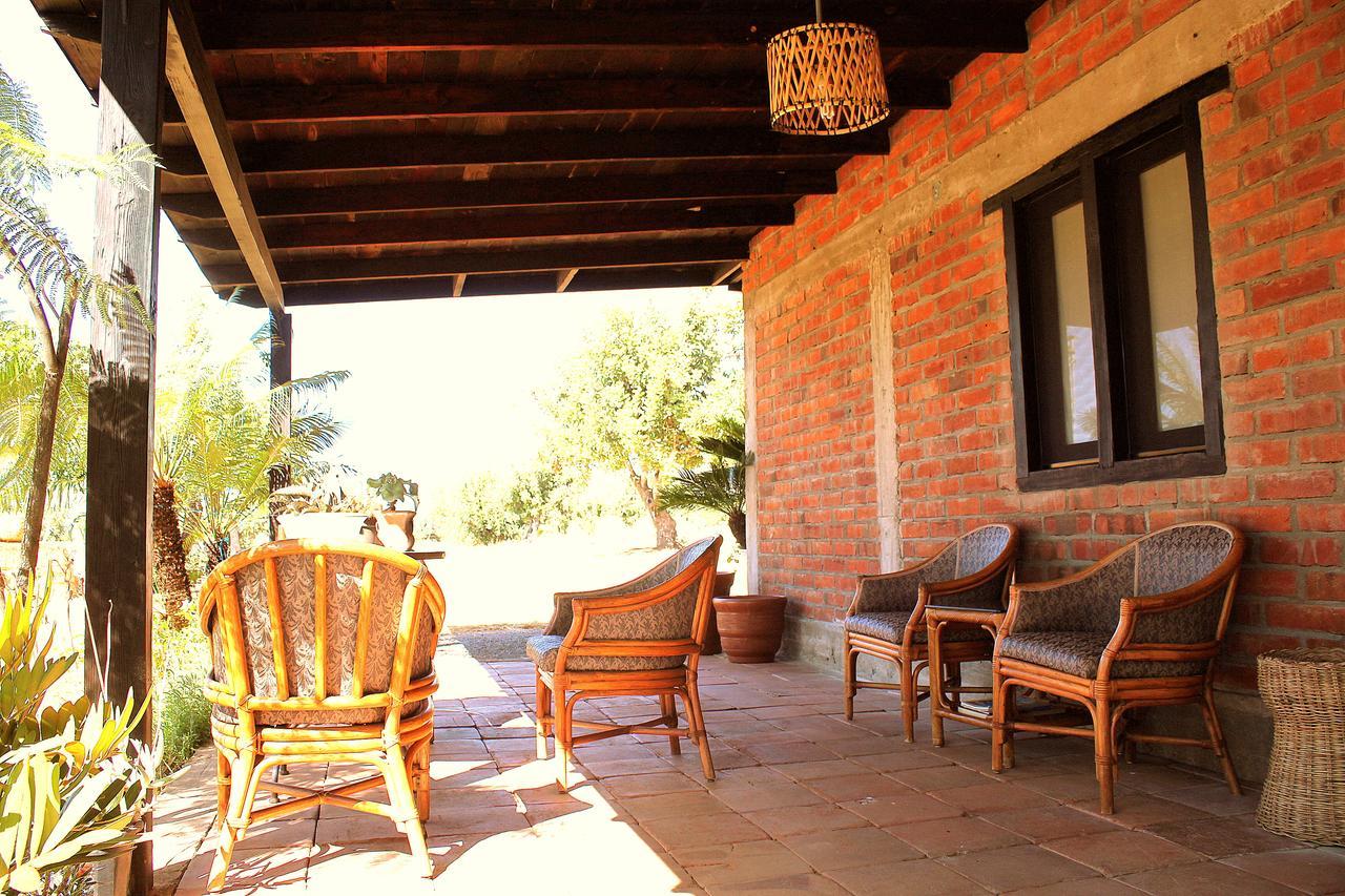 Las Orquideas Valle de Guadalupe Extérieur photo