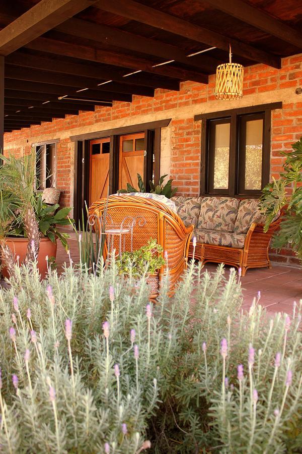 Las Orquideas Valle de Guadalupe Extérieur photo